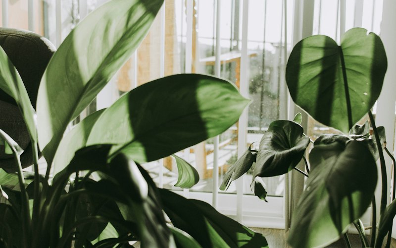 除异味治理